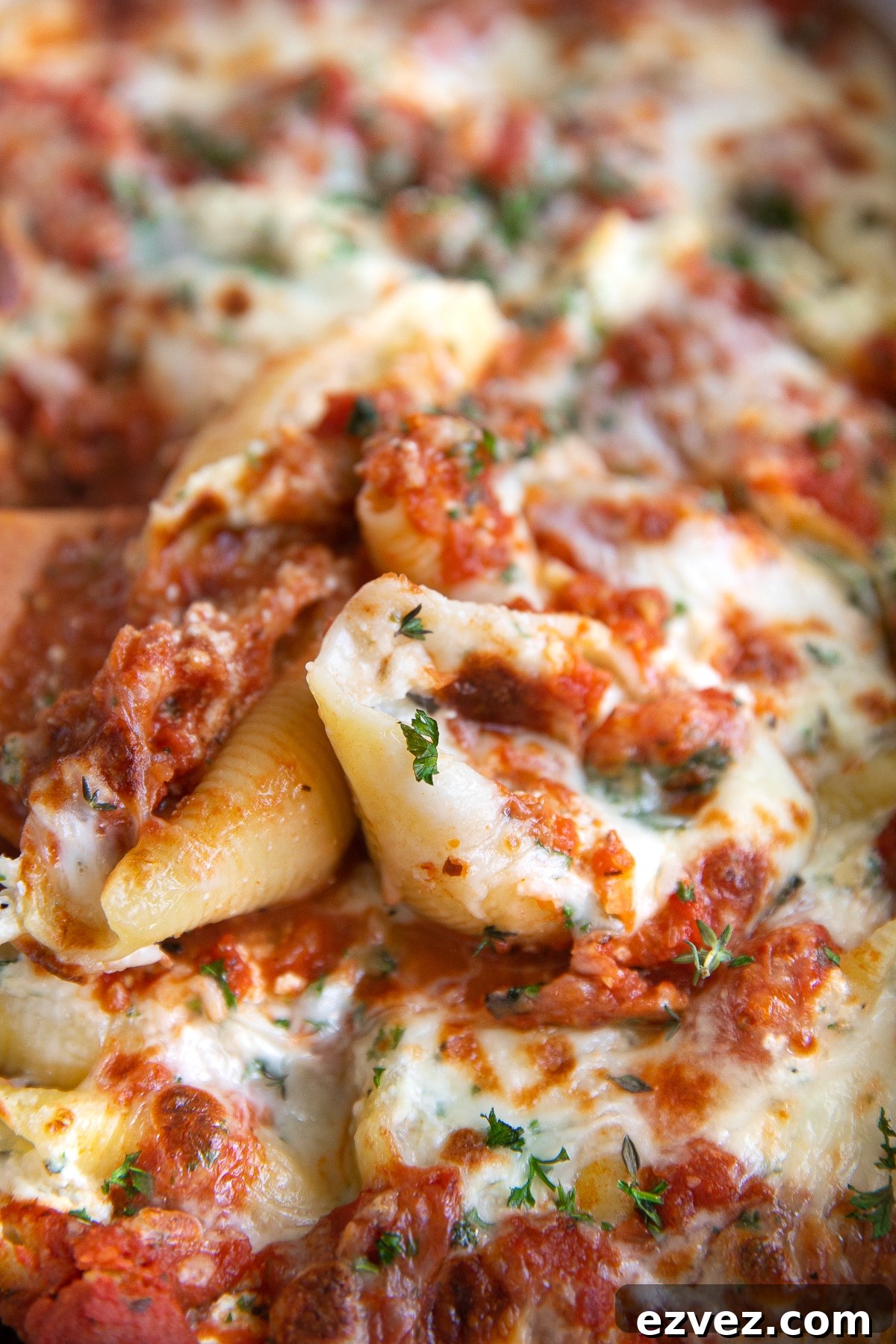 Baked Ricotta Stuffed Shells with Marinara 2 Close up image of cheesy stuffed shells smothered in marinara sauce.