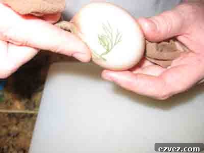 How to Dye Easter Eggs: Creative Techniques and Color Ideas 6 Tie off the other end.