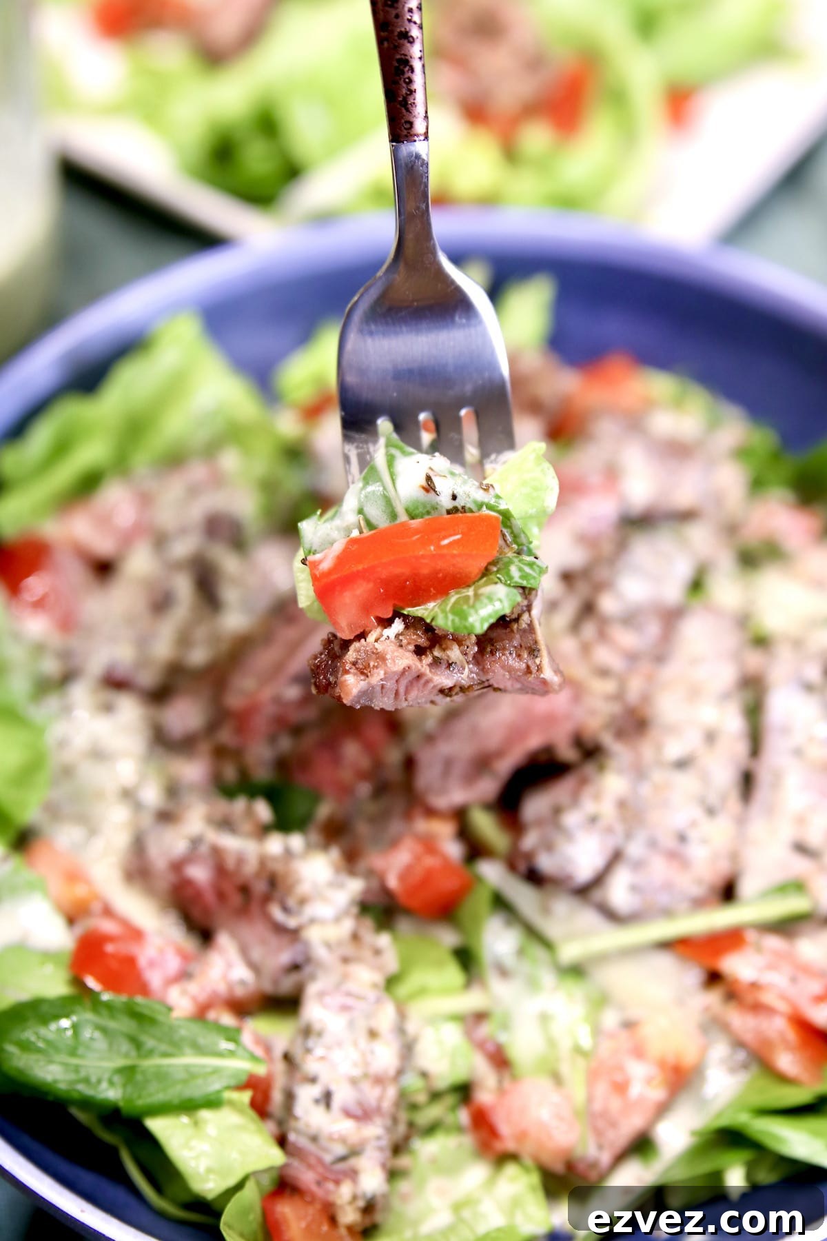 Closeup of steak salad on a fork.