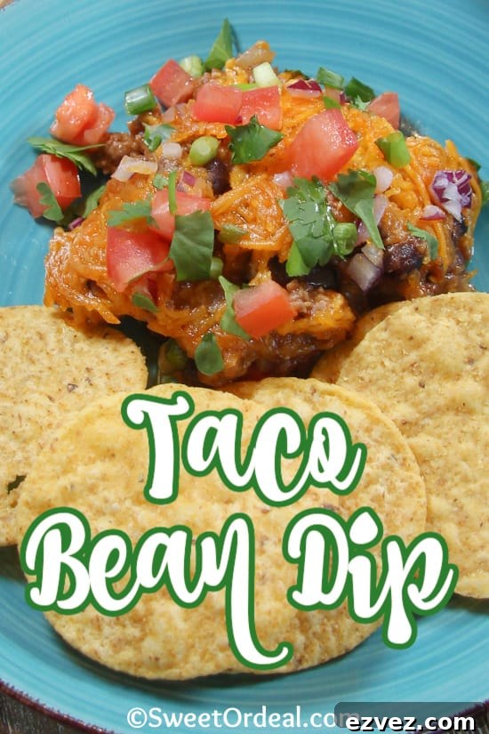 Taco Bean Dip