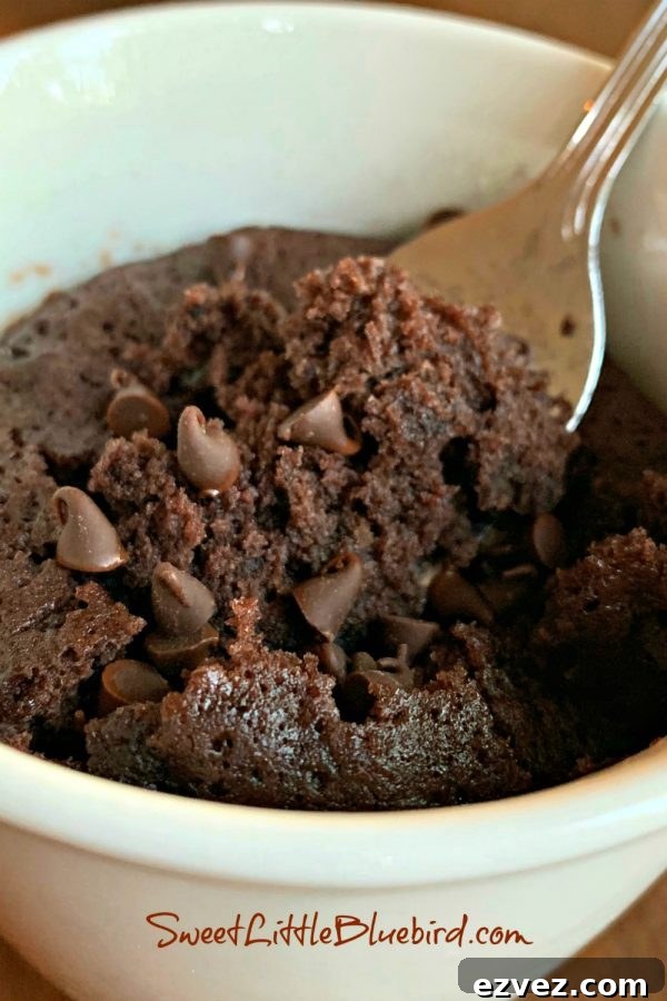 THE MOISTEST CHOCOLATE MUG CAKE (No Eggs, Milk or Butter)