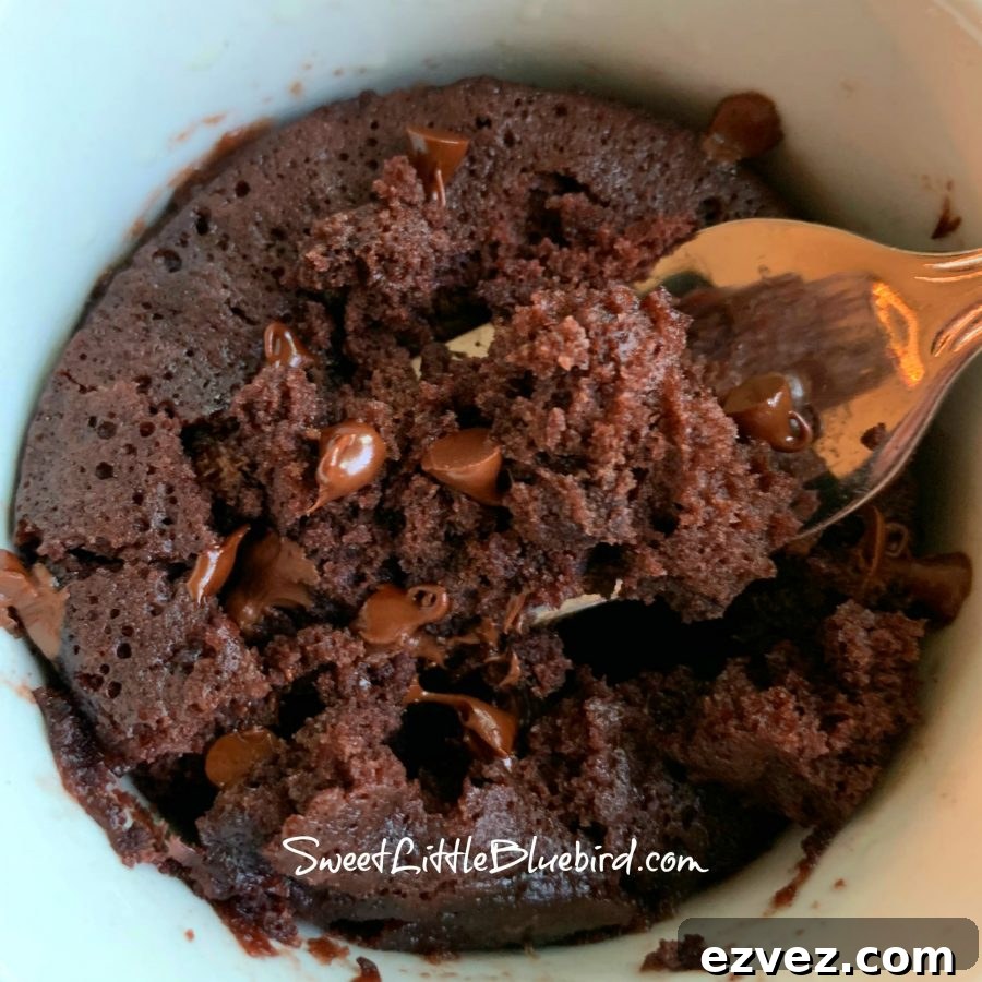 THE MOISTEST CHOCOLATE MUG CAKE (No Eggs, Milk or Butter) - Sweet Little Bluebird