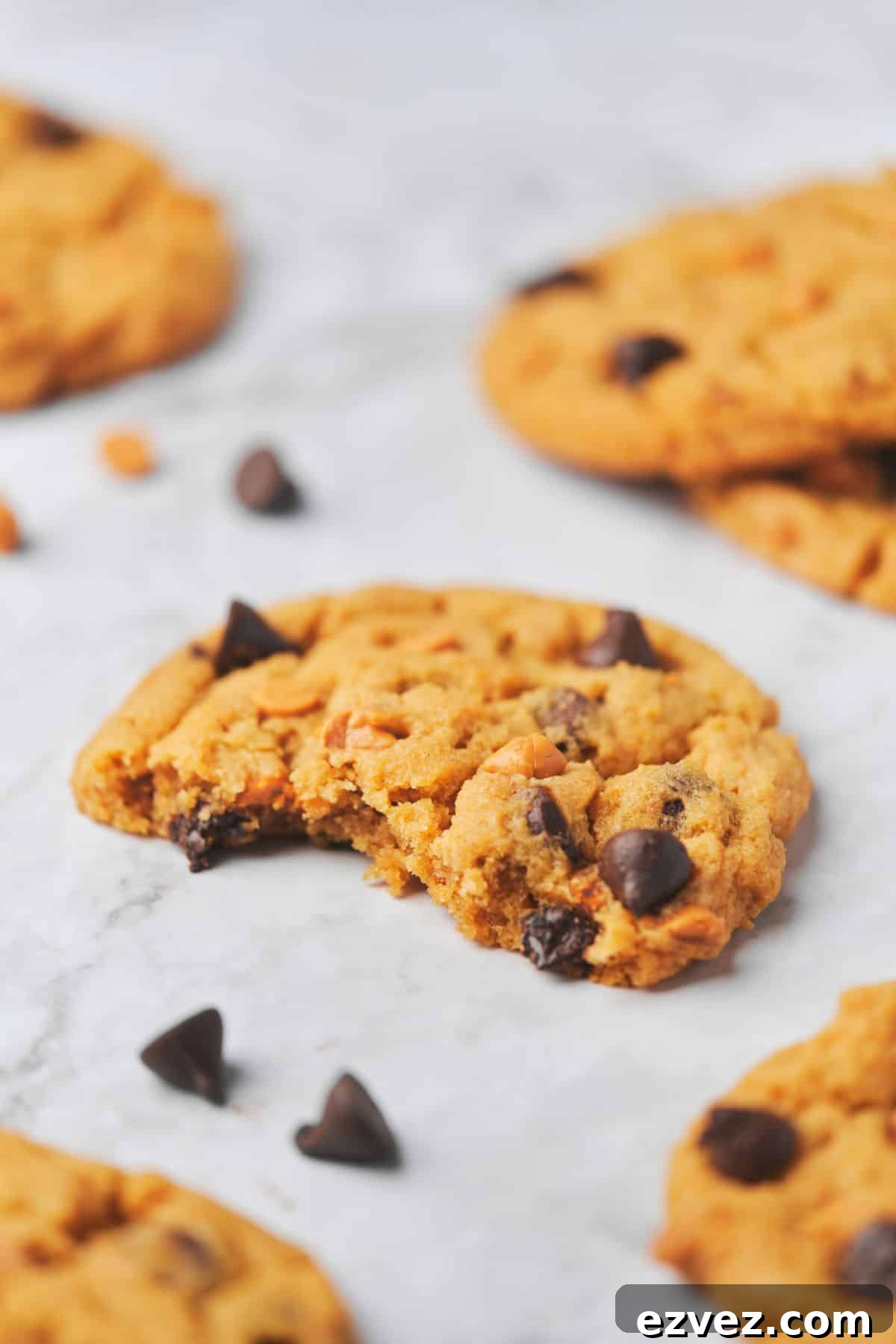 A close up of a soft butterscotch chocolate chip cookie.